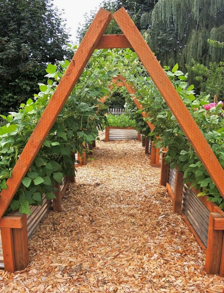 foto de lindos suportes para jardim vertical